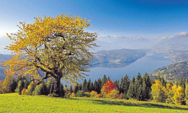 Ländliches Idyll, gepflegt von den Mirnockbauern. Eine Etappe des Millstätter-See- Höhensteigs führt auf den Charakterberg Mirnock. Mehr zu Region und Route: www.millstaettersee.com