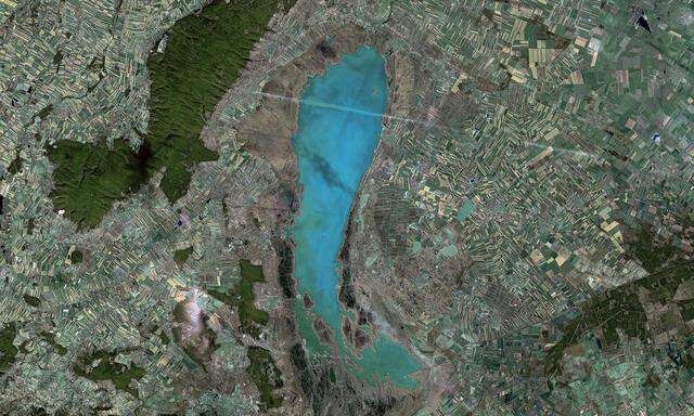 Satellitenfotos wie hier vom Neusiedler See setzen alle zehn Meter einen Bildpunkt: Das reicht oft nicht aus, um landwirtschaftliche Flächen exakt zu erkennen.