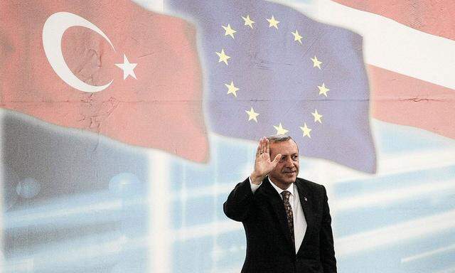 Archivbild aus dem Jahr 2014, als Erdogan in der Albert-Schultz-Halle in Wien Wahlkampf betrieb.