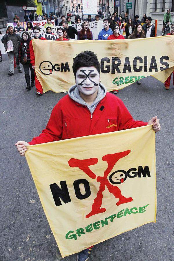 Ein Greenpeace-Aktivist in Valparaiso, Chile