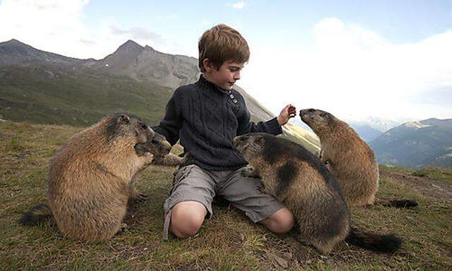 TIROL: INNSBRUCKER BUB ALS MURMELTIER-FLUeSTERER