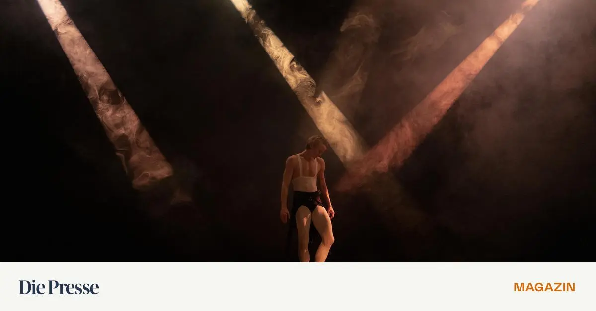 -Sungazing-im-Tanzquartier-Das-Publikum-zu-berfordern-ist-auch-ein-Konzept-premium-