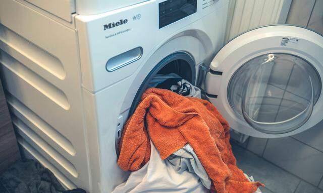 Beim Putzen und Wäsche waschen nehmen es viele Österreicher nicht so genau.
