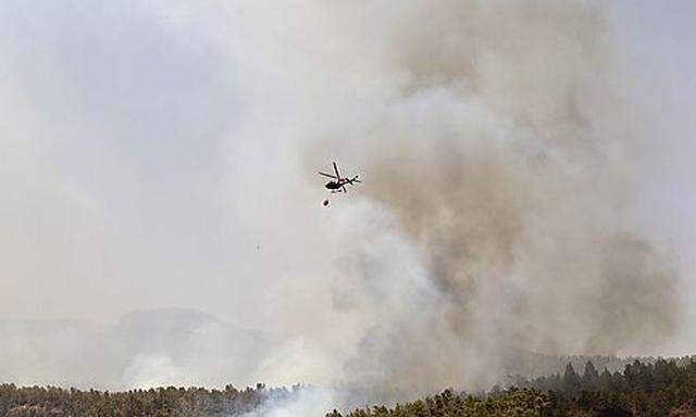 Ein Waldbrand bedroht den Naturpark auf Teneriffa.