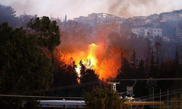Kampf gegen die Flammen in Haifa