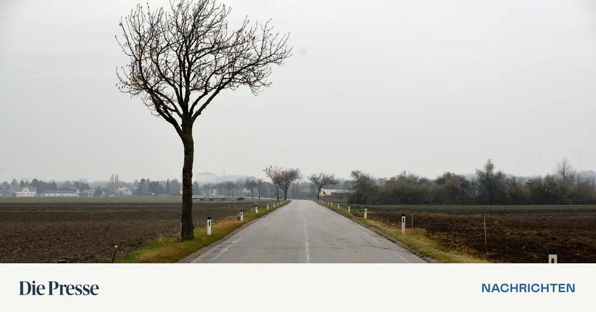 landbauer-fordert-grunds-tzliche-debatte-zu-uvp-verfahren