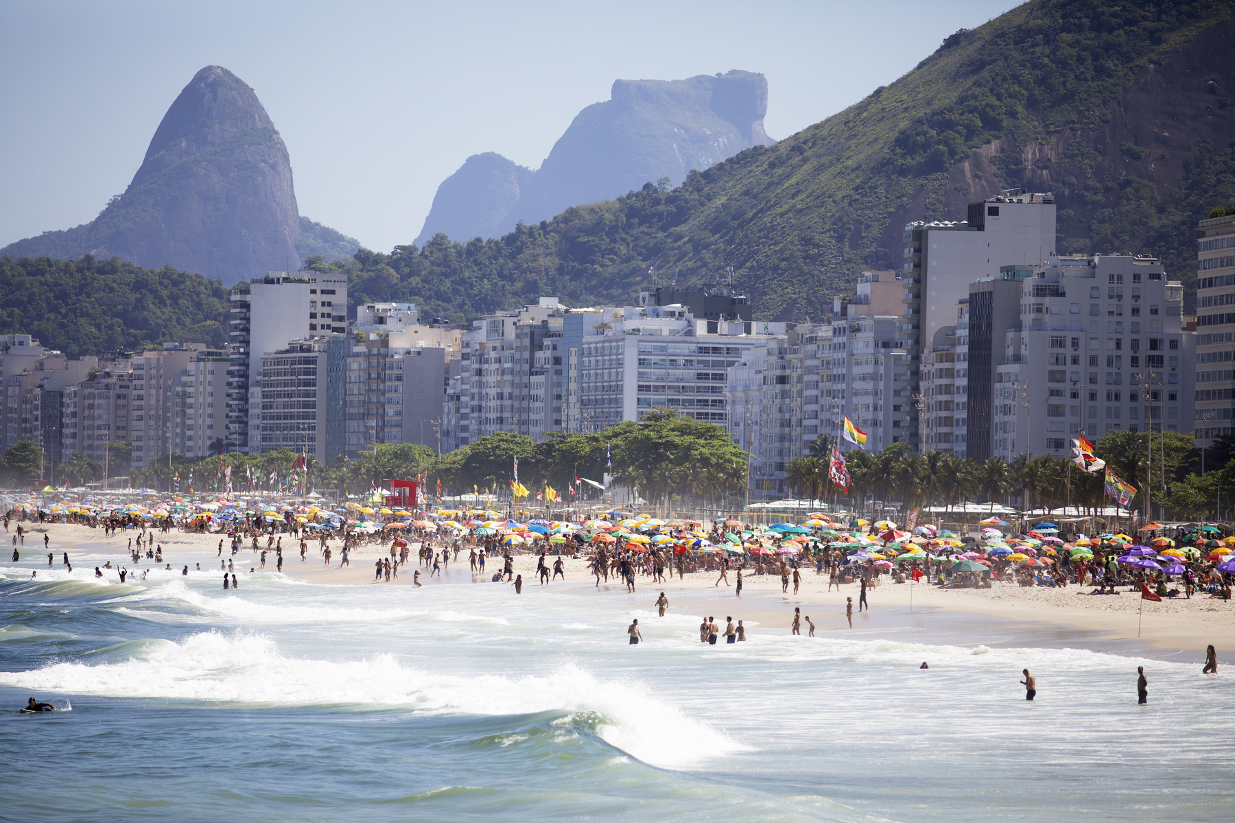 Zwischen der Copacabana und dem Amazonas [premium]