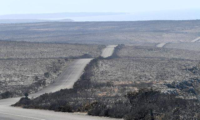 Eine Straße führt durch abgebranntes Gebiet auf Kangaroo Island im Süden Australiens.