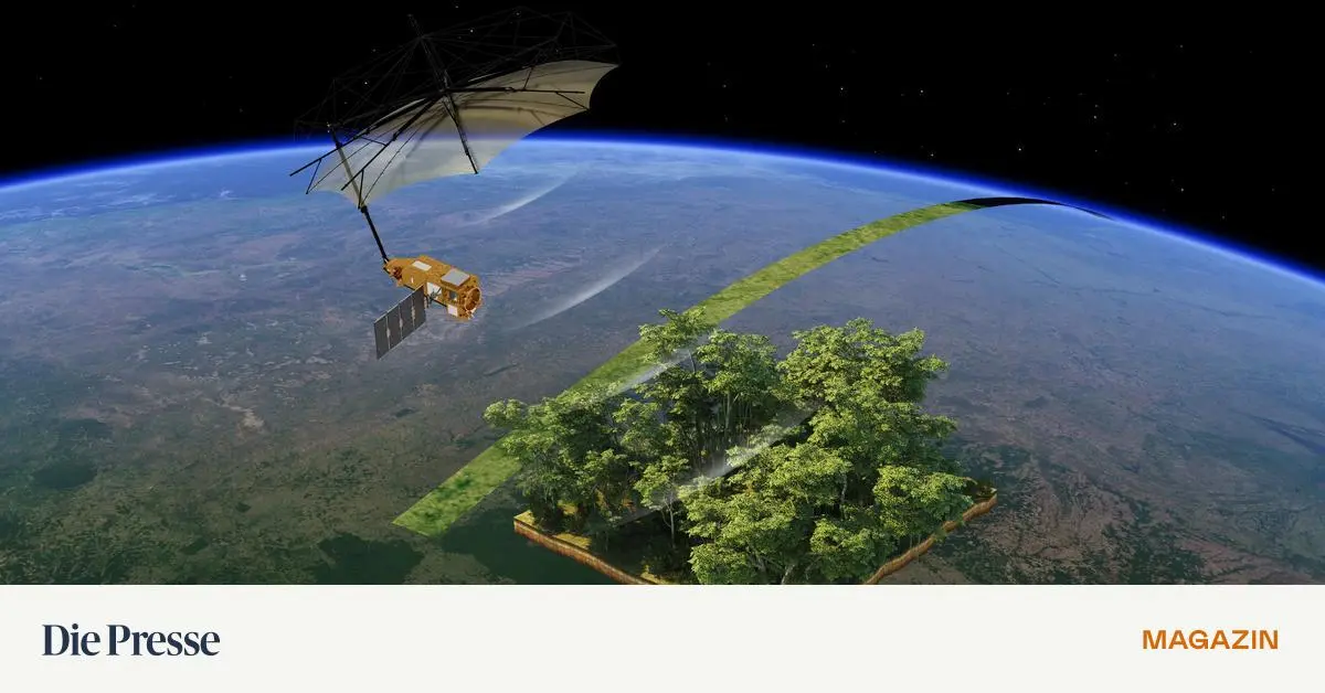 Kakaopflanzen-Mit-Satelliten-und-Drohnen-auf-Schildlaus-Jagd-premium-