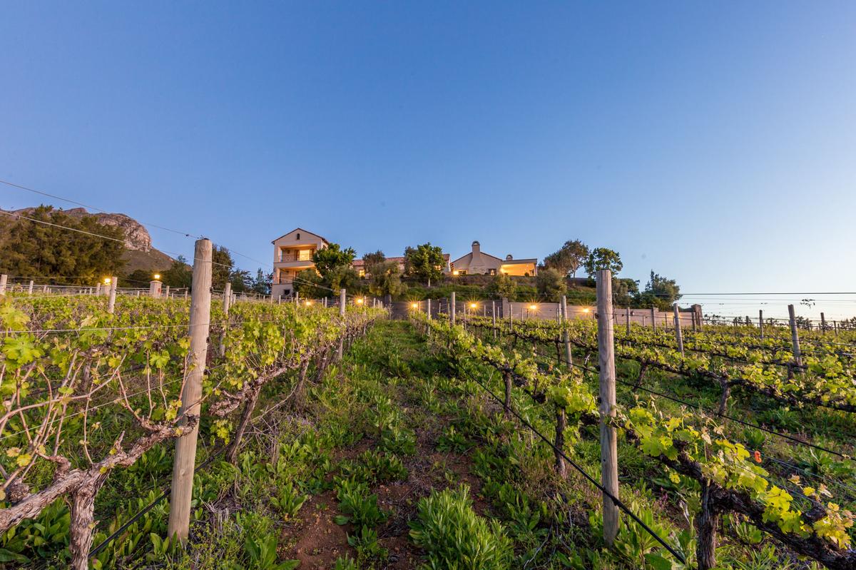Weingut in der legendären Stellenbosch-Region in Südafrika
