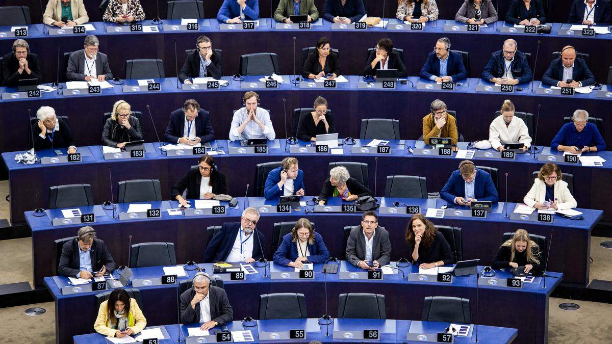 720 Europaabgeordnete werden neu gewählt. Ab Juli werden sie ihre Arbeit in der einzig direkt gewählten EU-Institution aufnehmen. 