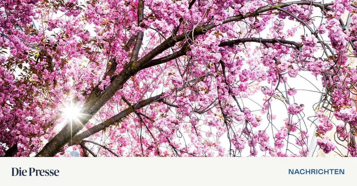 Zweitw-rmster-M-rz-in-Europa-seit-Messbeginn