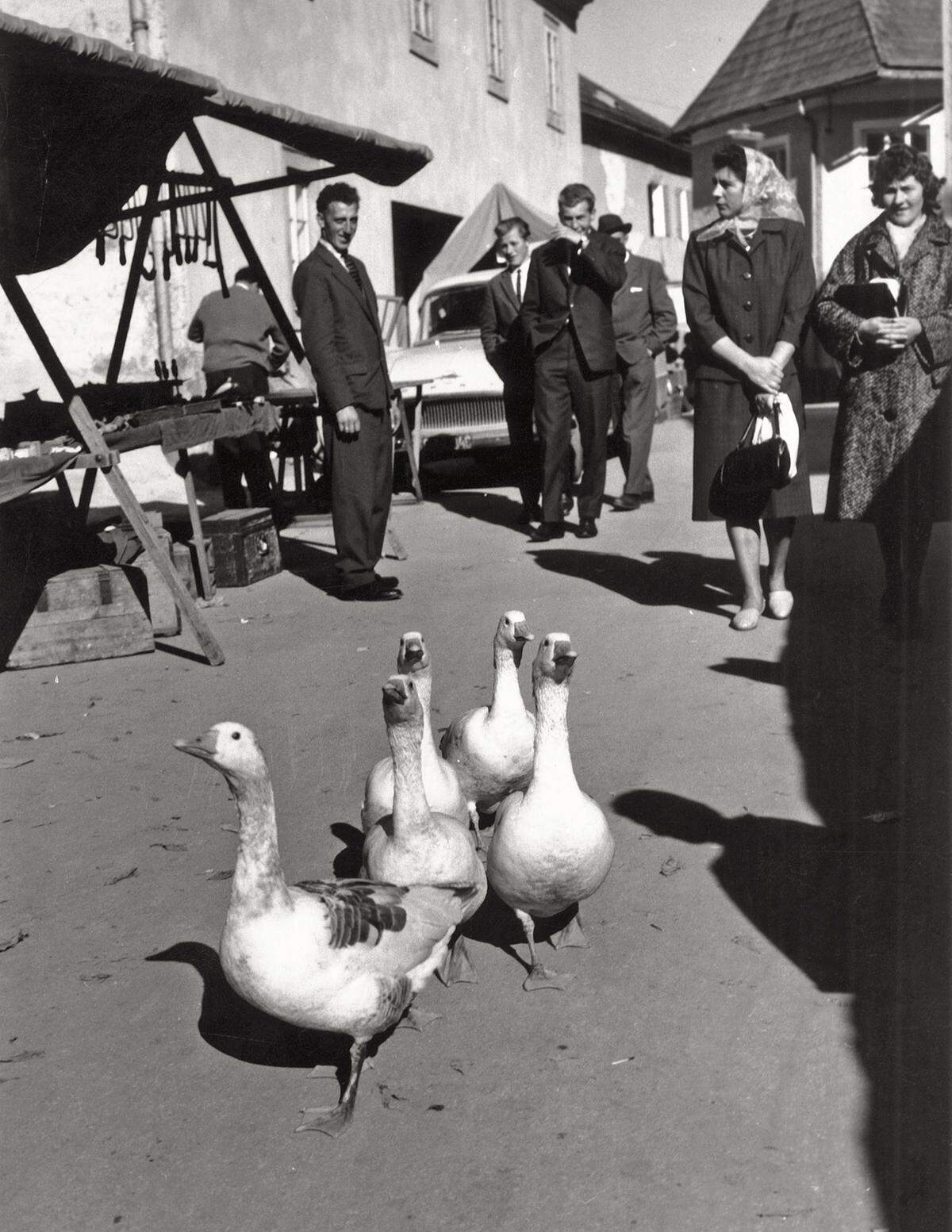 Markttag in Illmitz, 1960er Jahre