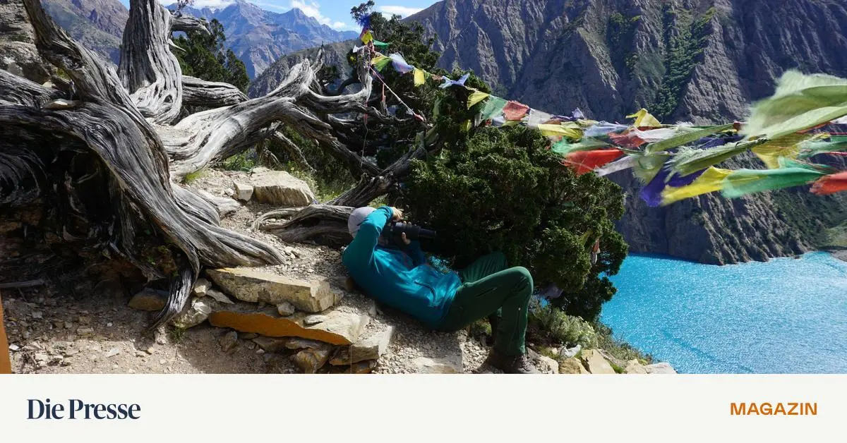 Expedition-zu-den-Kultursch-tzen-Nepals-Man-braucht-Spa-am-Abenteuer-premium-