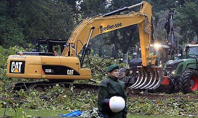 Forest workers cut down trees during a protest in Stuttgart
