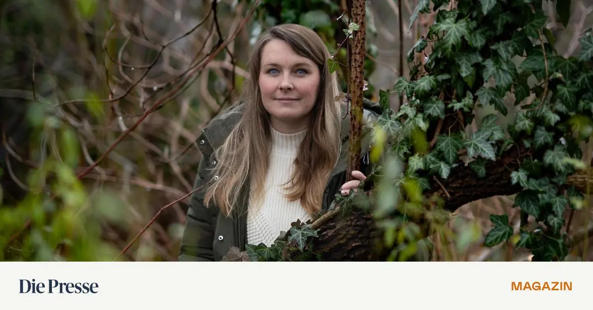 Welche-V-gel-kommen-geflogen-premium-