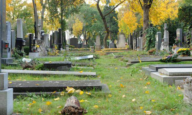 Gräber am Wiener Zentralfriedhof