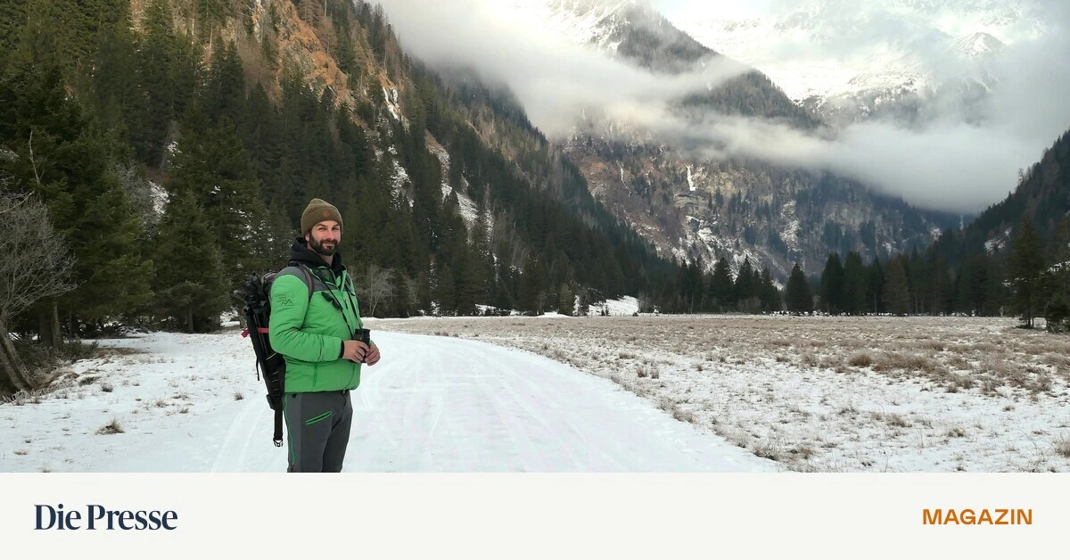 Seebachtal-Zu-Fu-zu-F-en-der-Tauernk-nigin-premium-