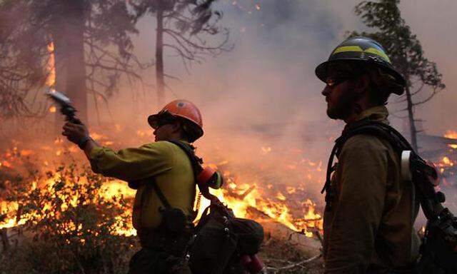 Die Feuerwehrleute hatten viel zu tun. Innerhalb der nächsten zwei Wochen soll das Feuer beim Yosemite-Nationalpark gelöscht sein.