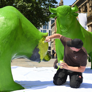 Ob in Frankfurt nun Bullen- oder Bärenmarkt herrscht – wer deutsche Aktien hat, erhält mitunter steuerfreie Ausschüttungen.  