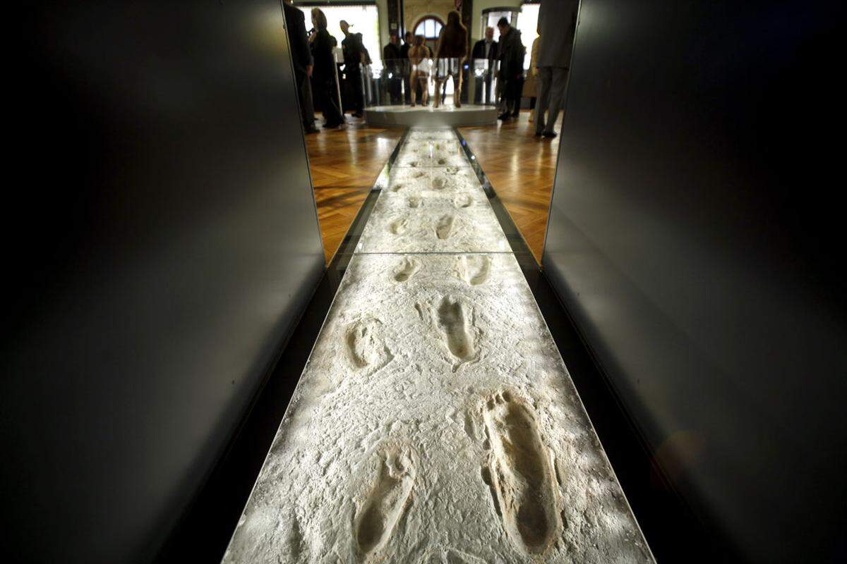 Fossilien wechseln einander mit Ganzkörperrekonstruktionen unserer Vorfahren ab. Die ältesten, erhalten gebliebenen Fußspuren eines aufrecht gehenden Menschen führen mitten durch den ersten Saal.