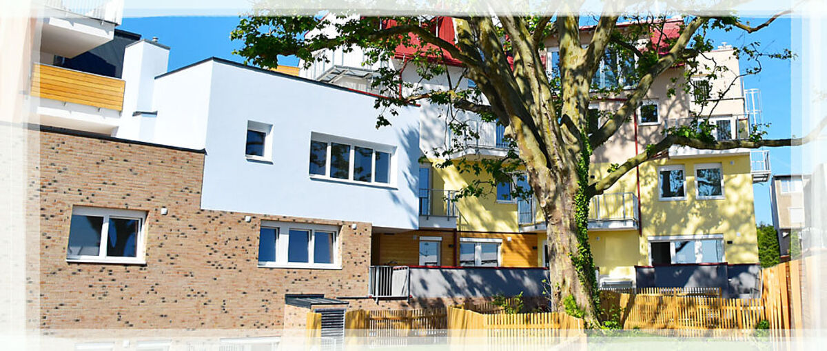 Baum in der neuen Anlage