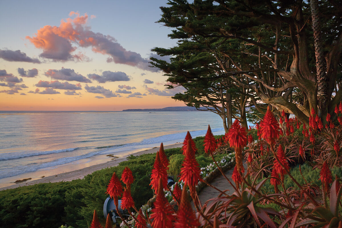 > > > Links:  www.toptenrealestatedeals.com www.hiltonhyland.com     