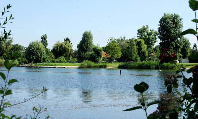 Strombucht, Alte Donau