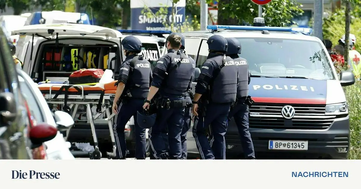 www.diepresse.com