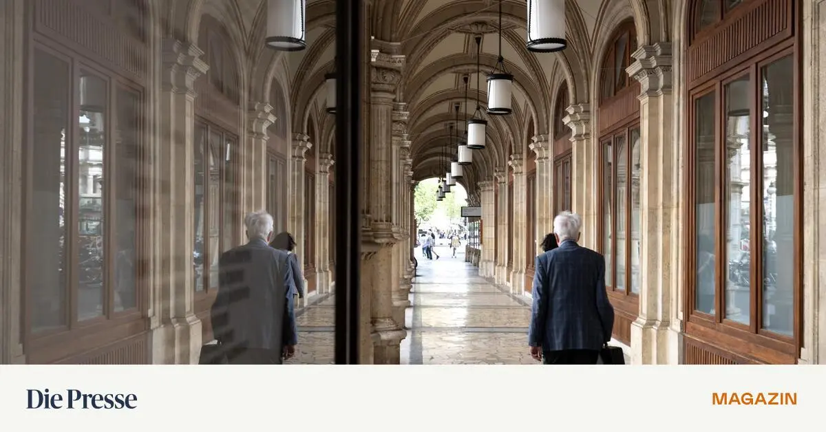 Buch-Wien-als-Drehkreuz-f-r-Geheimdienste-premium-