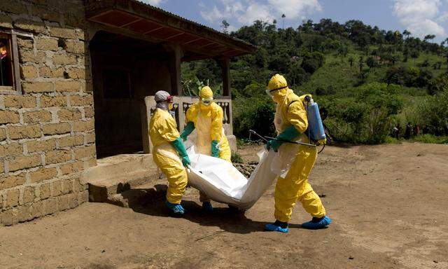 In Westafrika starben zwischen 2013 und 2016 rund 11.000 Menschen am Ebola-Virus.