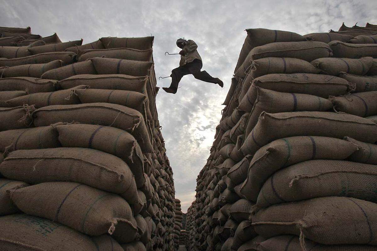 Chandigarh, Indien. Ein Arbeiter springt in einem Lager über Säcke mit rohem Reis.