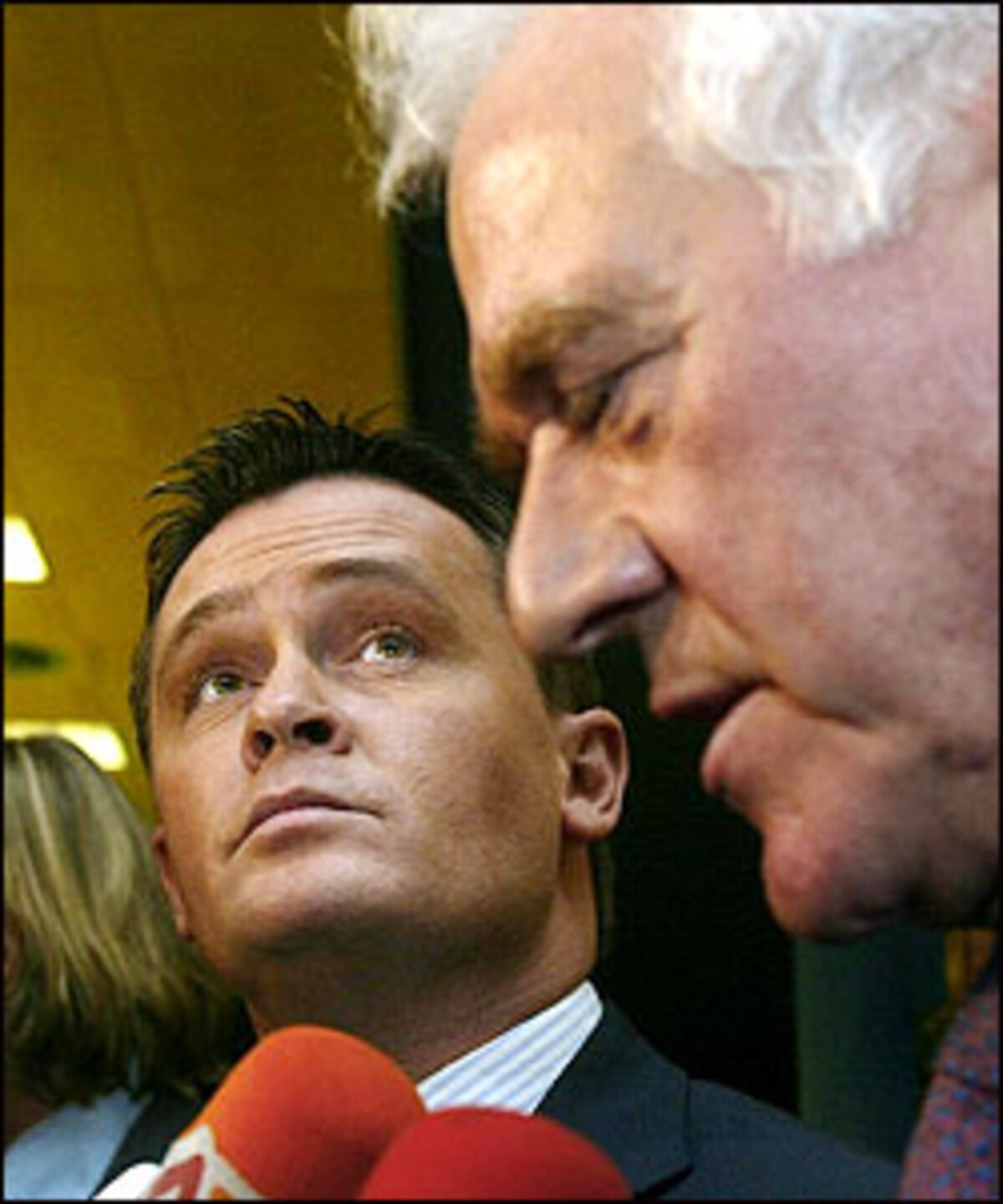 Nach seinem Rückzug aus der Politik wurde der FP-Politiker promt Bundesliga-Vorstand. Im Sommer 2004 wechselte er von dort in das Top-Management von Frank Stronachs Magna-Konzern.