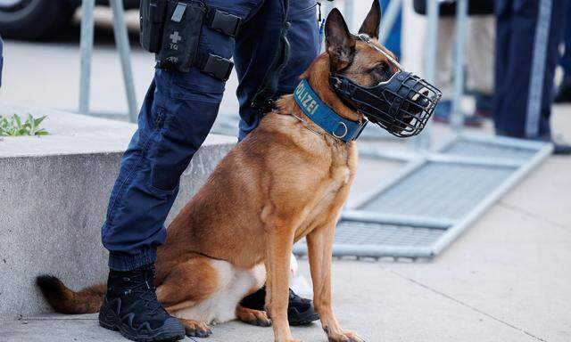 Symbolbild: Ein Diensthund soll in einem Einsatz außer Kontrolle geraten sein. 