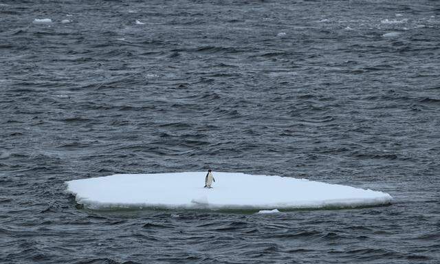 Das Eis schmilzt, auch in der Antarktis. Aber wie groß ist die Schuld des Menschen daran?