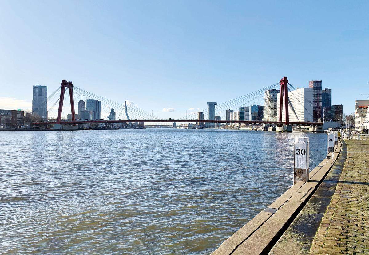 Die Willemsbrug ist neben der Erasmusbrug und der Van Brienenoordbrug eine der drei großen Brücken Rotterdams, die über die Nieuwe Maas führen. Es handelt sich um eine auf zwei großen Pylonen stehende, 356 Meter lange Schrägseilbrücke.