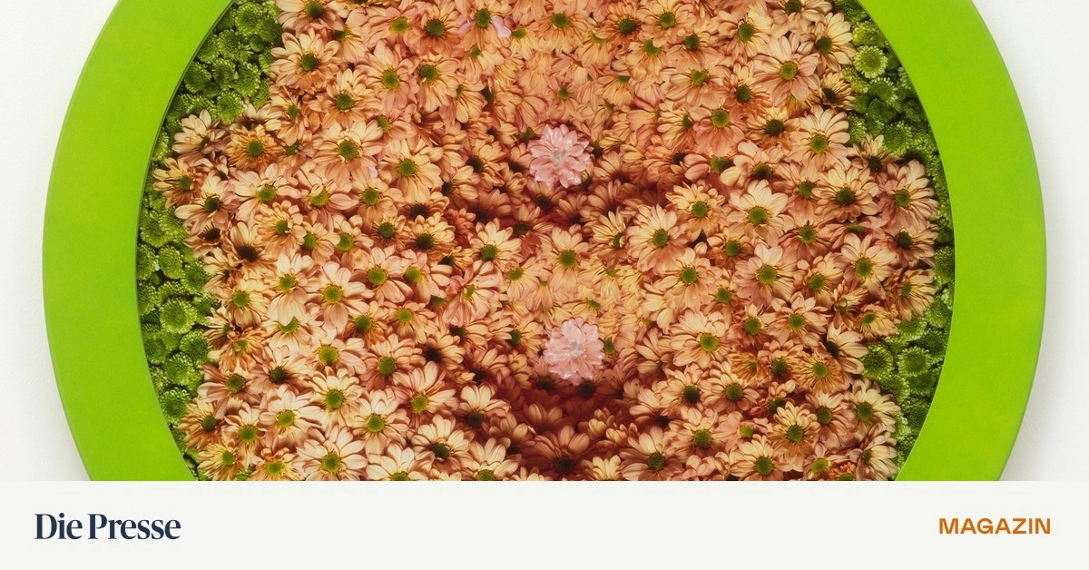 Durch-die-Blume-premium-