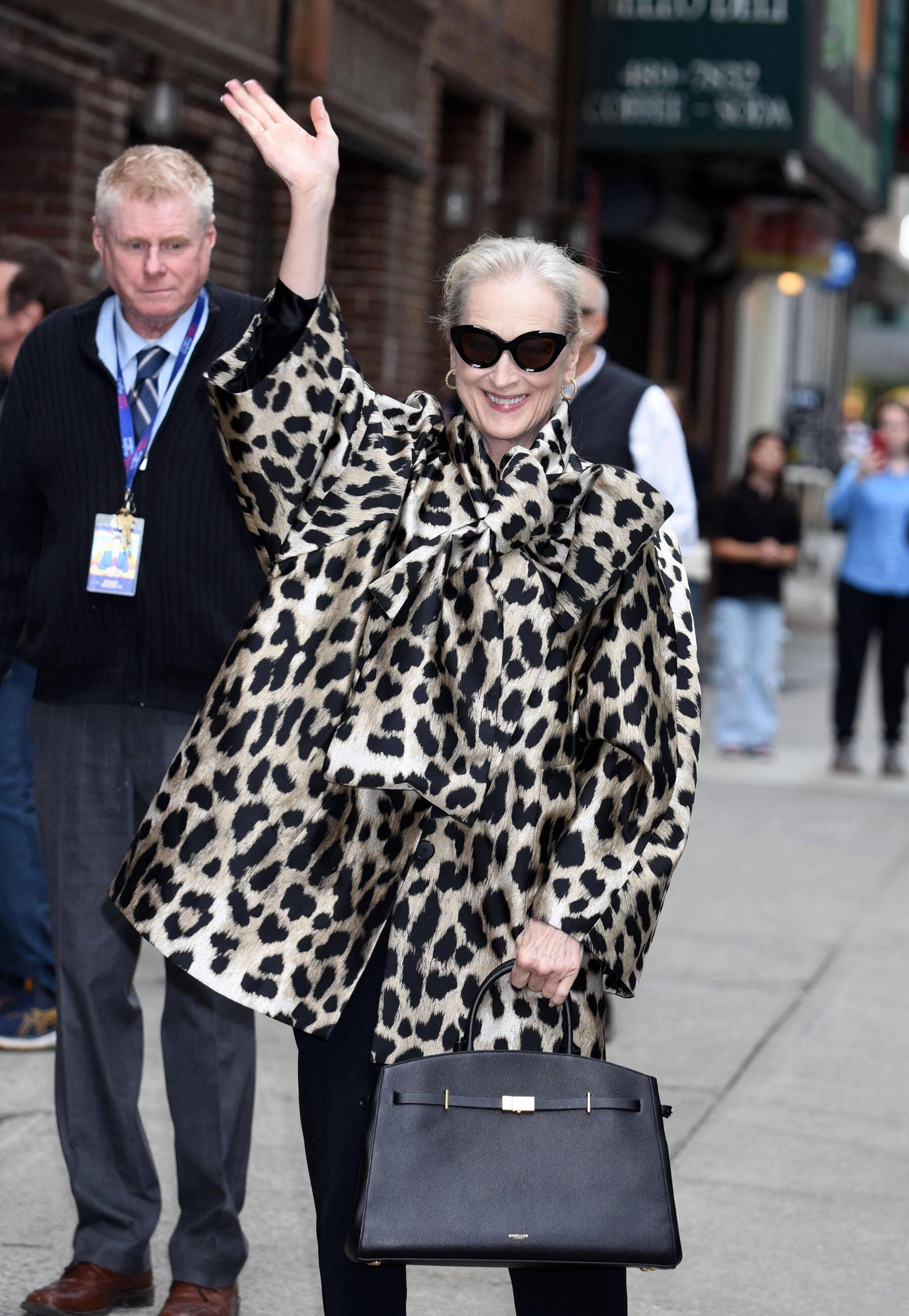 Star-Rolle für Meryl Streep in „Die Korrekturen“-Serie