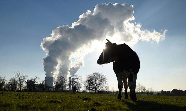 Atomkraft als „grüne“ Energie? Darüber streitet Österreich nun mit der EU-Kommission. 