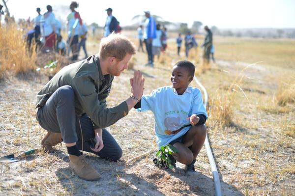 Die Reise nach Botswana trat Prinz Harry ohne seine Ehefrau an, die mit Söhnchen Archie in Kapstadt blieb. Dort besuchte er den Chobe National Park.        