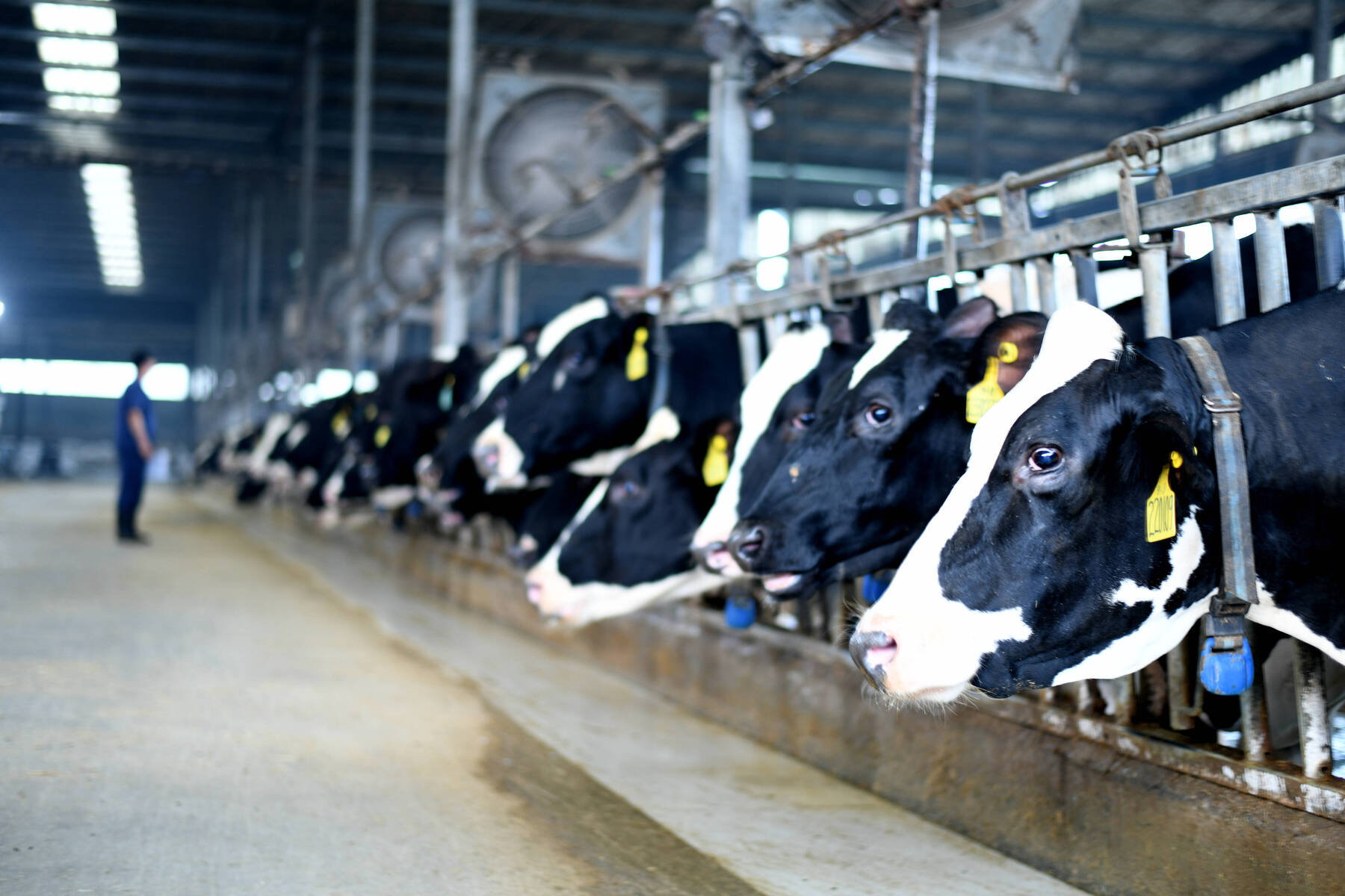 China zahlt einen hohen Preis für die Ernährung seiner Bevölkerung [premium]