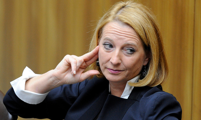 AuslaenderMaut Wien lehnt sich