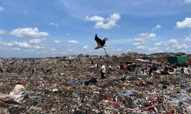 Textilmüll in Afrika: Alte Sneaker landen oft auf illegalen Müllhalden.