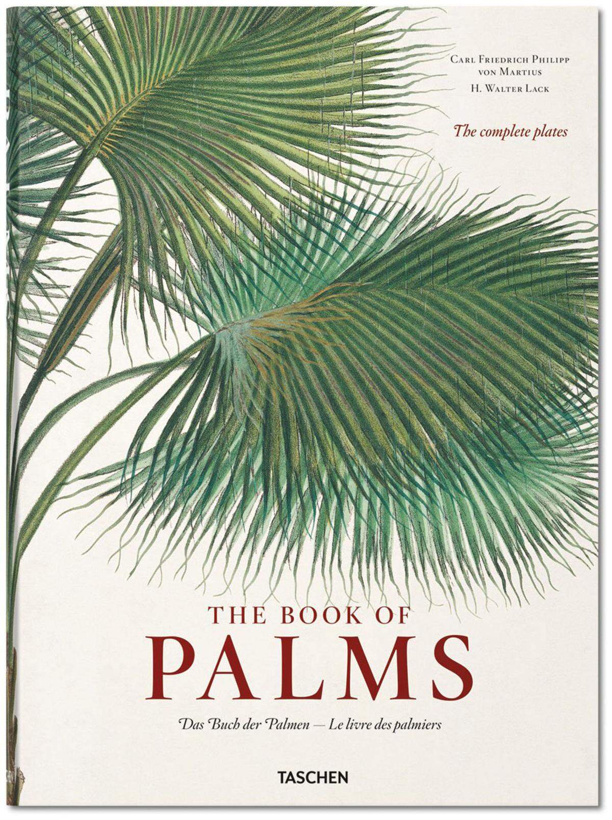 Die gesammelten Tafelbilder des „Vater der Palmen“ gibt es in diesem Sammelband von Taschen zu entdecken. Erhältlich ab Juli.