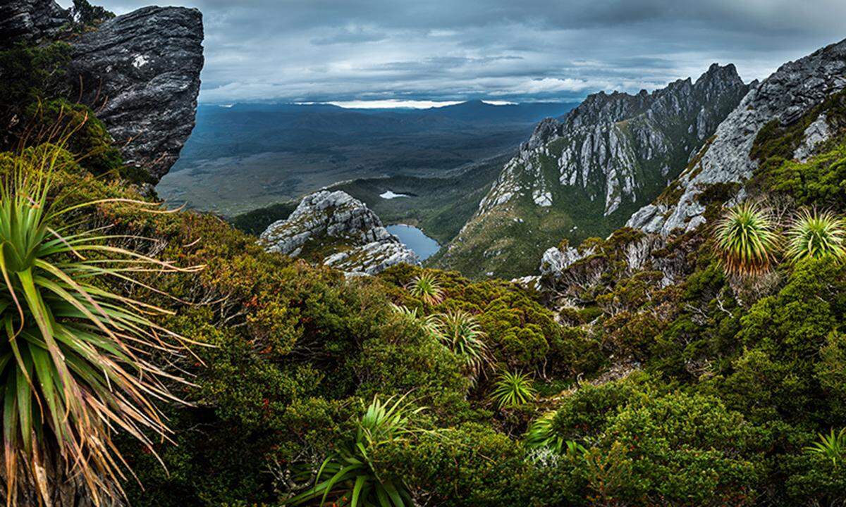 Die Western Arthurs Traverse in Tasmanien ist eher anspruchsvoll und führt über 12 Kilometer durch die Arthurs Range. Meist geht es entweder steil bergauf oder bergab.