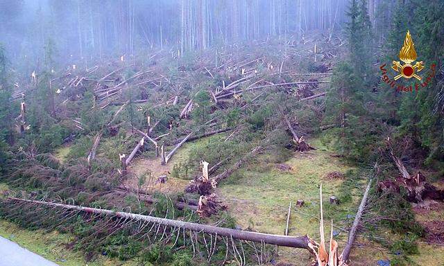 Umgeknickte Bäume in den Wäldern und auf den Pistenflächen in der Region Belluno.