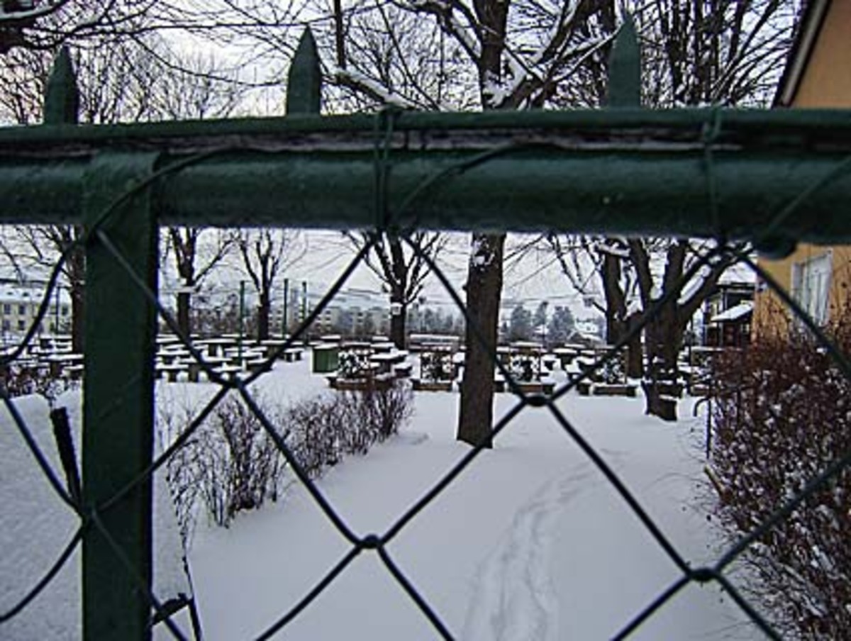 Sprung in den 14. Bezirk: Der geschlossene Biergarten des Schutzhauses am Ameisbach muss noch länger auf den Bieranstich warten.