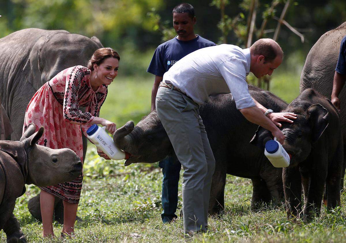 Auf den kulturellen Ausflug folgte eine Safari im indischen Kaziranga-Nationalpark. Dort konnten sie eines der seltenen Panzernashörner entdecken. Auch Zackenhirsche und Wasserbüffel seien dem hohen Besuch vor Augen gekommen, teilte der Kensington-Palast via Twitter mit.