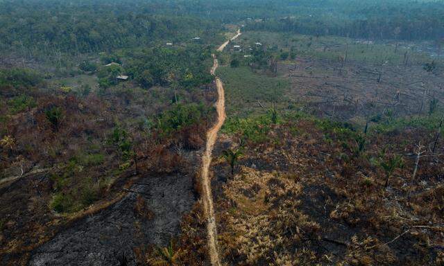 Waldbrände, Trockenheit und Rodungen sind weiter eine Gefahr für den Amazonas. 