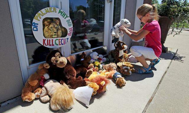 Resident Autumn Fuller, 10, places a stuffed animal at the doorway of River Bluff Dental clinic in protest against the killing of a famous lion in Zimbabwe, in Bloomington, Minnesota